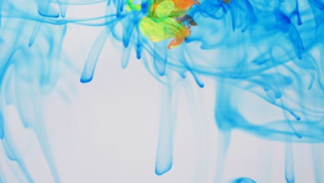 liquid abstractions, the dissolution of blue, yellow, red and green paint in water.