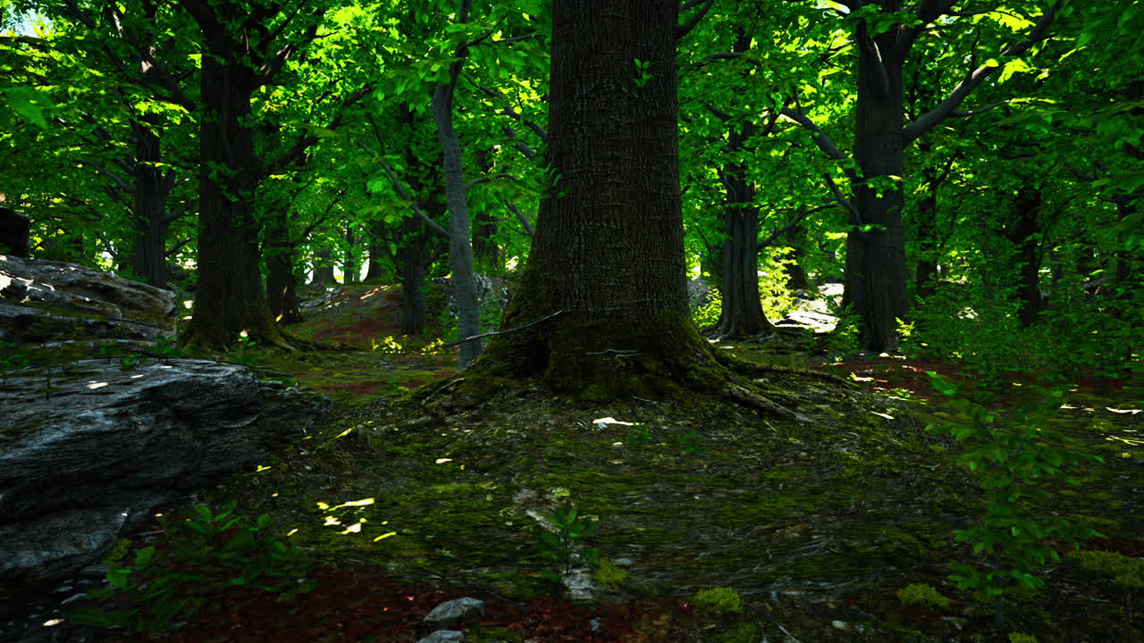 vista detallada de cerca de una textura de suelo forestal con musgo