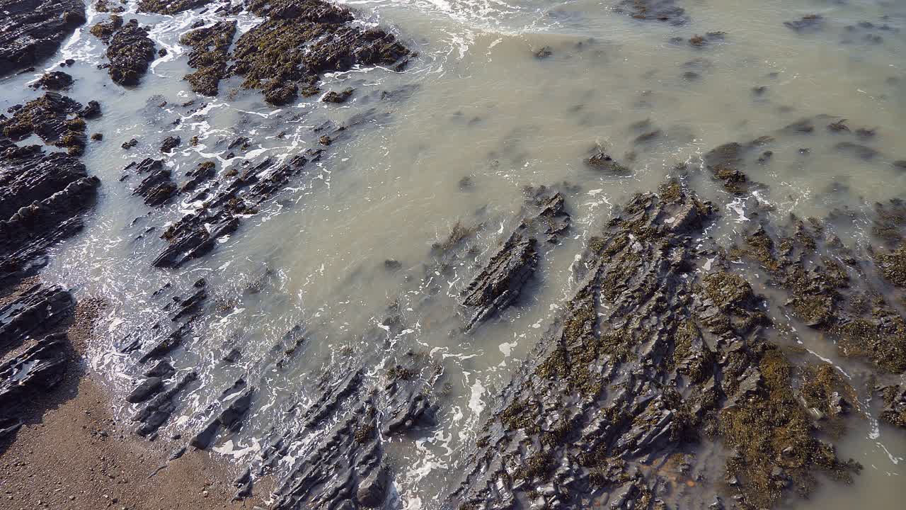 las olas lamen rocas estratificadas verticales con algas marinas en la costa del centro de gales.