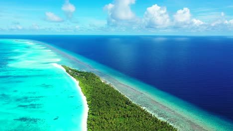 tropical island with coconut palm trees and turquoise caribbean sea, white sand beaches and coral reef