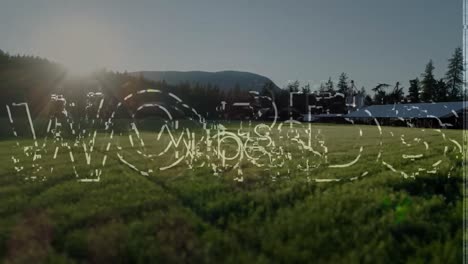 Animation-of-the-word-vibes-in-white-distorting-over-sunlit-countryside-with-lens-flare