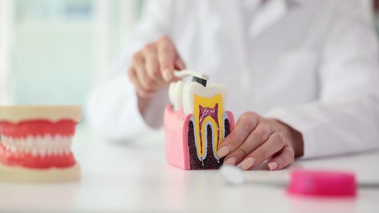 Dental health and hygiene