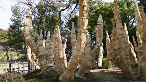 steady view of tall, slender rock spires among trees