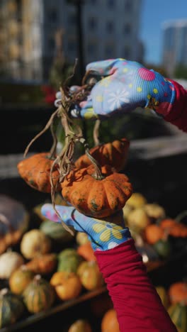 pumpkins and gourds at a farmers market