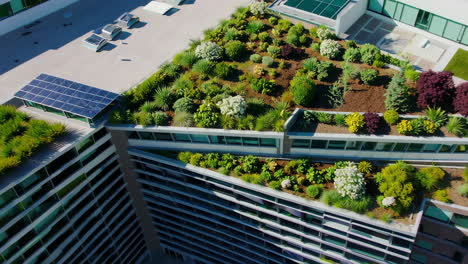 green roofs on modern buildings