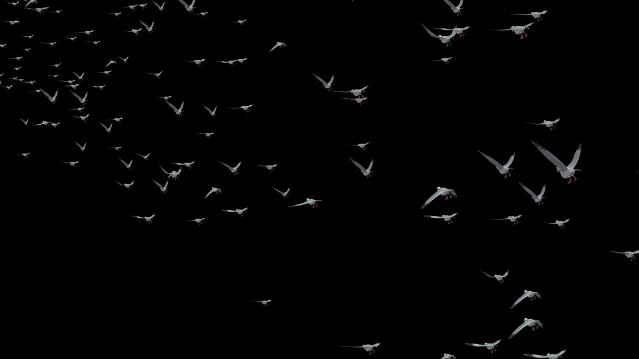 A Lot flock of birds flying in the sky Loop Background Animation ...