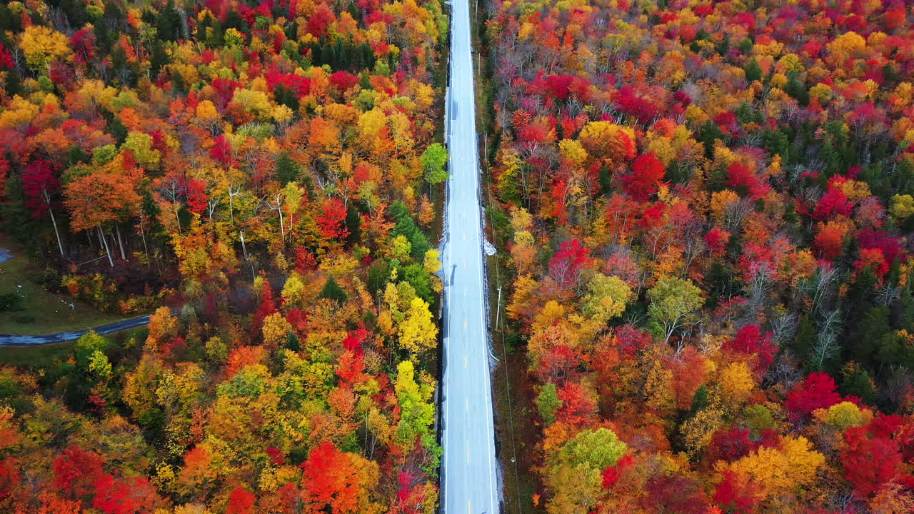 vista aérea de una carretera vacía en medio de un bosque vívido con colores de hojas de otoño en el campo de nueva inglaterra