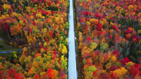 aerial view of empty road in the middle of vivid forest with autumn leaf colors in countryside of new england