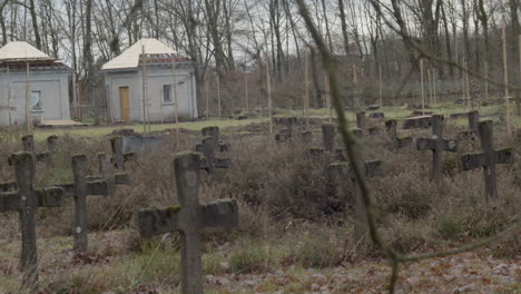 panning over old gravestones and branches on the foreground