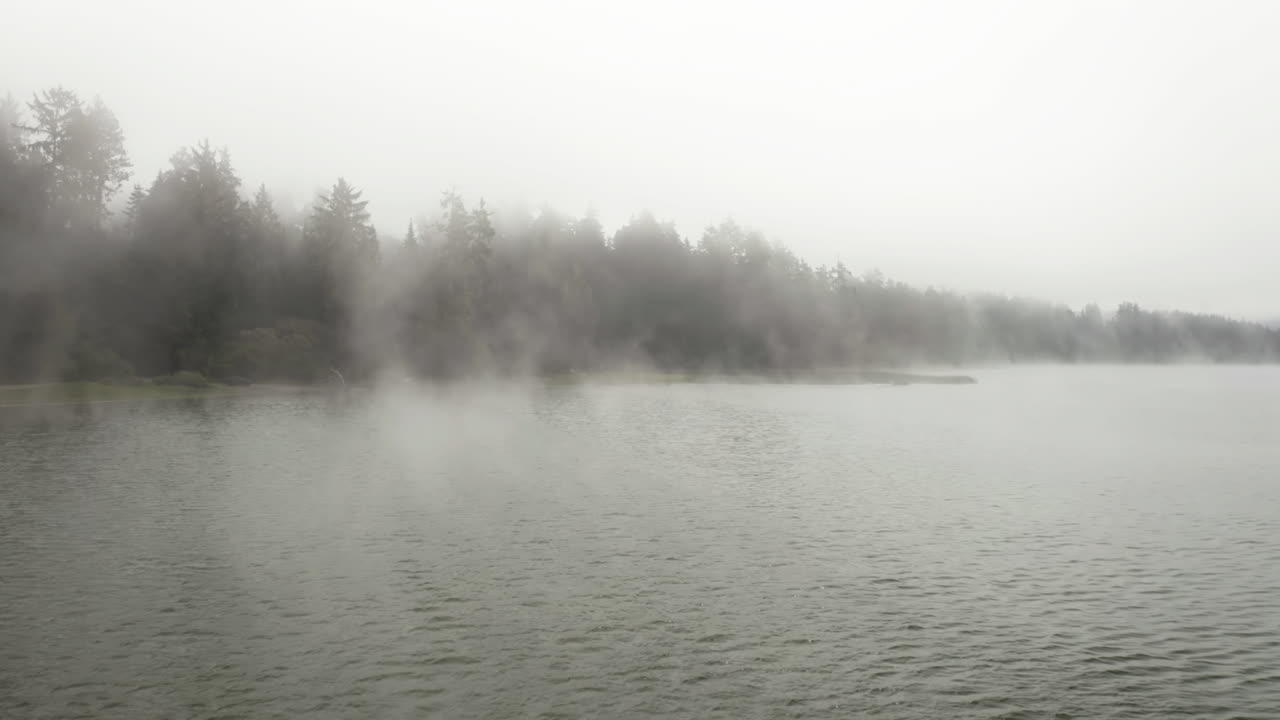 안개 구름을 통해 뒤로 공중 전망 안개 습지, 미국에서 구름이 많은 날