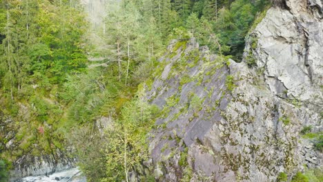 valley with rocks cliff and trees along river