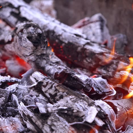 close-up of hot firewood glowing and burning. embers of a burnt-out campfire. wood burning up.