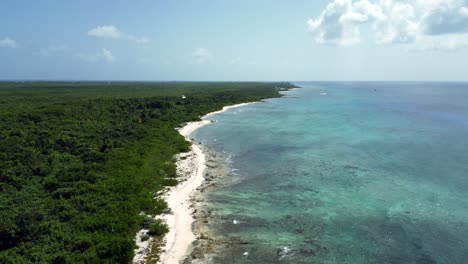 imágenes de drones volando hacia atrás sobre un océano turquesa y un arrecife de coral en el caribe mientras el bosque nativo se extiende a lo largo de una playa en el horizonte y las nubes proyectan sombras sobre el agua.