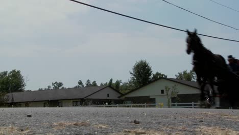 a low angle of an amish horse and buggy cart moving along a rural road