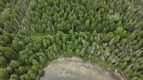 Drohne-Umkreist-Bäume-Auf-Der-Insel-In-Der-Nähe