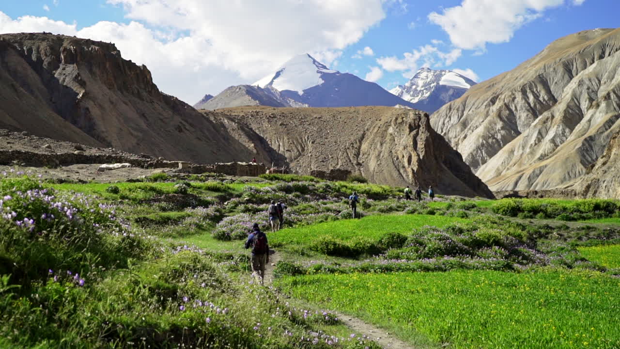 toma estable mientras los excursionistas caminan por el exuberante y verde valle de markha en el himalaya, con los picos de las montañas nevadas en el fondo