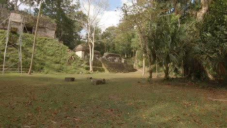 ruinas mayas en tikal en guatemala