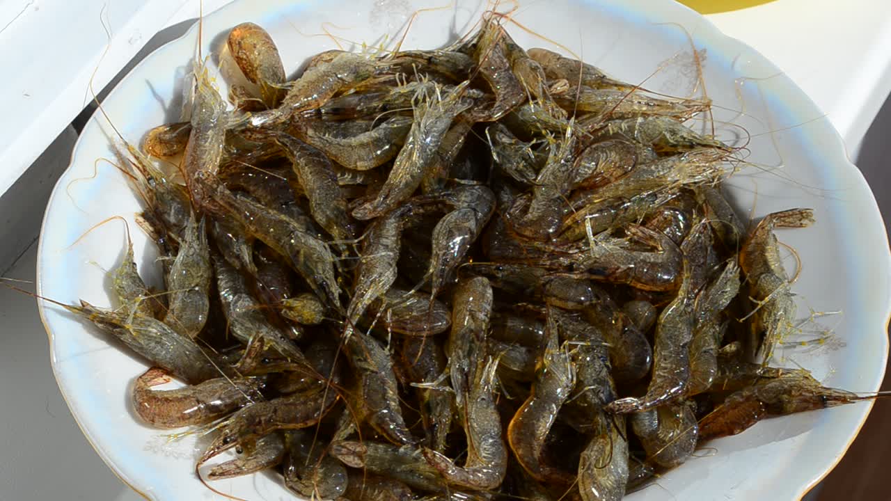 Gamberi vivi. Gamberi freschi.