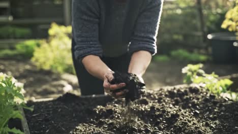 engaging in gardening: a passionate individual cultivates soil with care, showcasing the art of nurturing nature through hands-on gardening techniques