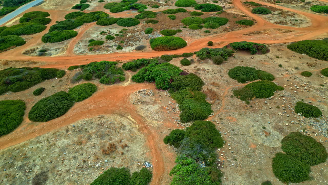 vegetación de tierra árida en la playa de potamos en la isla de creta, grecia