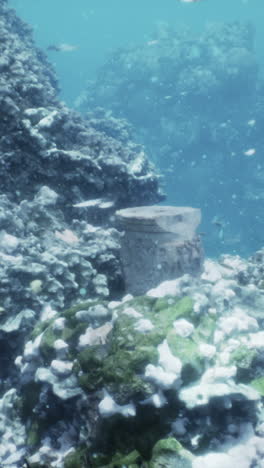 underwater discovery: exploring ancient ruins in a coral reef