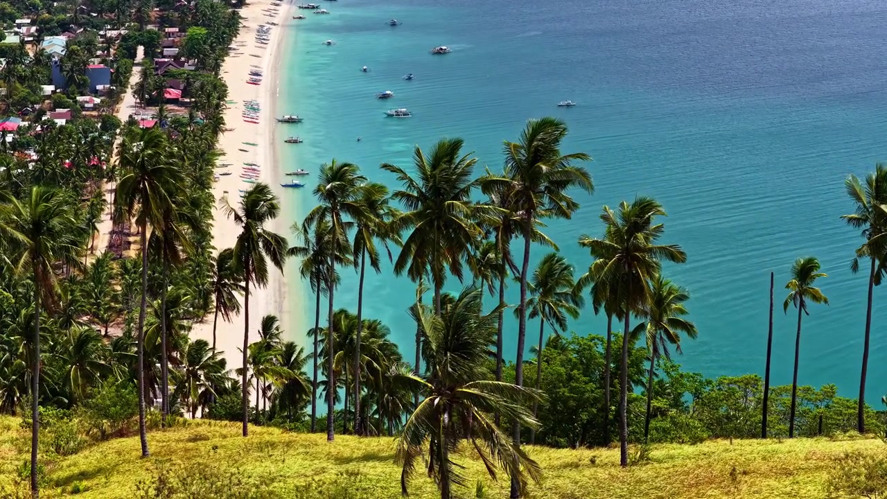 Long Beach di San Vicente a Palawan, Filippine, in una giornata di sole, in vista aerea sopra le palme.