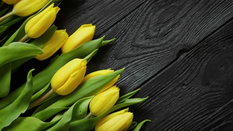 composition of fresh yellow tulips placed in row on black rustic wooden table