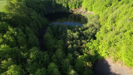 Runder-Waldsee-Im-Sommer