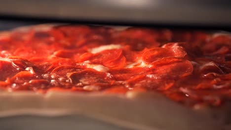 close up of a pepperoni pizza baking in the oven with the cheese melting and bubbling in the heat