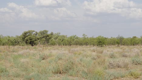 still view of scenic nature landscape with clouds in the australian outback.