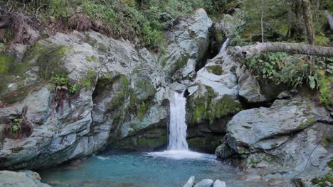 Ein-Mann-Springt-Aus-Dem-Neuseeländischen-Regenwald-Ins-Eiskalte,-Klare-Wasser-Im-Schluchtbecken