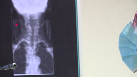 x-ray images of spine and neck