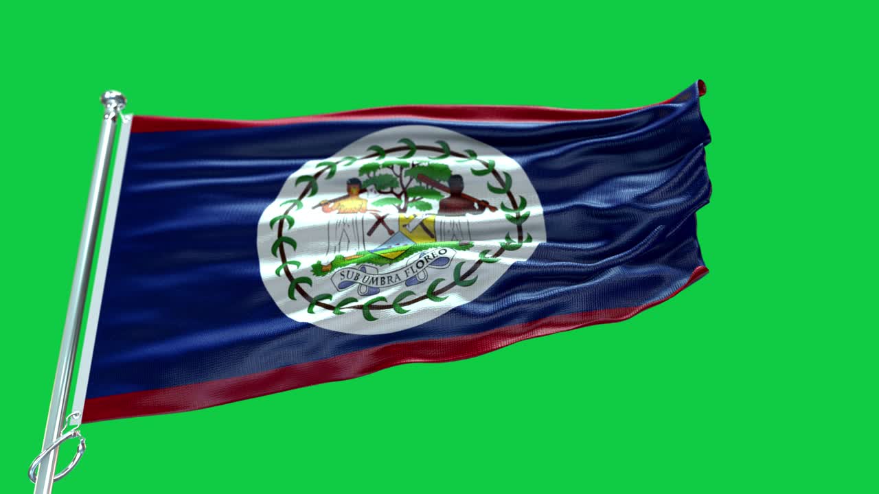 4k 매우 상세한 벨리즈의 발 - 벨리즈 발 높은 세부 사항 - 국가 발 벨리즈 파동 패턴 loopable 요소