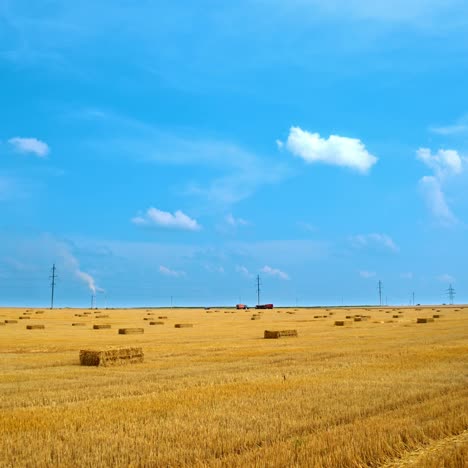 Field with straw bales. Beautiful yellow agricultural field after harvesting wheat with pressed bales under blue sky. Dry bundles with hay in the farmland in sunny day