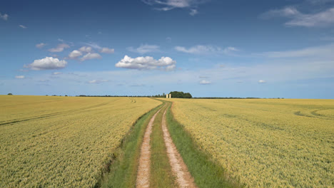 Aerial-view-of-UK-countryside,-summer-crop-of-wheat-and-barley,-cars-traveling-along-the-country-road,-tractor-tracks