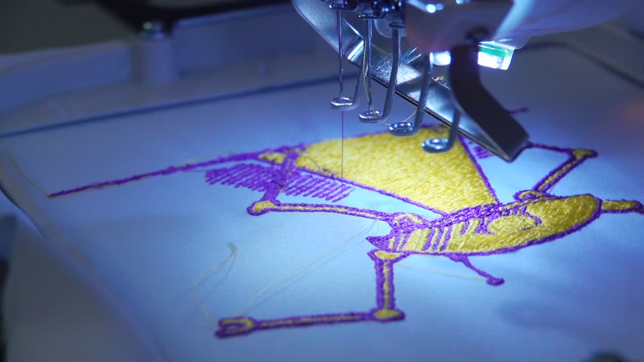 Disegno ricamato su una macchina da cucire