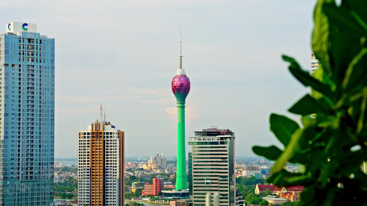 Menara Lotus berbentuk teratai, struktur tertinggi di Asia Selatan, menjulang di atas gedung pencakar langit Kolombo, Sri Lanka, dibingkai dengan indah oleh daun-daun tropis yang bergoyang diterpa angin sepoi-sepoi di latar depan.