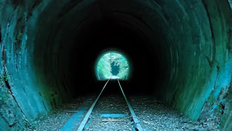 a train going through a tunnel in the woods