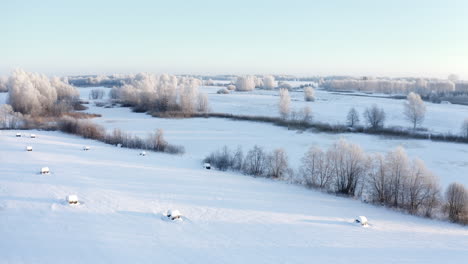 snow covered hay rolls in a rural landscape