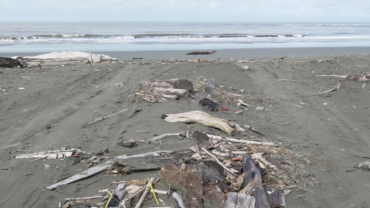 Driftwood on the beach, reflux debris on shore of Pacific Ocean Colombia