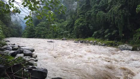 Shot-of-a-large-muddy-river-inside-a-rainforest