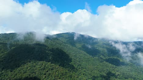 evergreen deciduous forest moving white clouds blue sky mountain and jungle forest drone flies forward high in blue sky through fluffy clouds panorama of the beautiful green mountain landscape