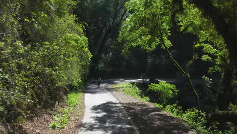 Antenne---Zwei-Leute-Fahren-Mit-Dem-Fahrrad-Eine-Sonnige-Straße-Mitten-Im-Wald-Hinunter