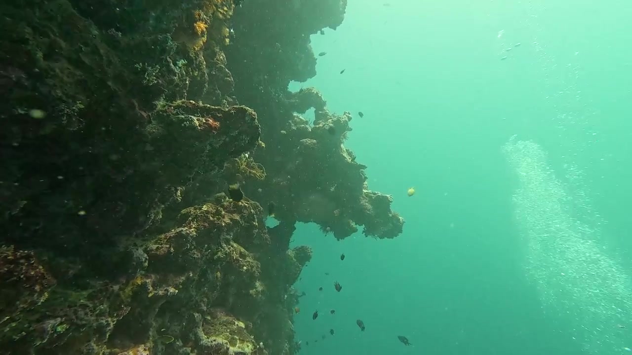 Scuba diving in Fiji along steep vertical coral reef wall with tropical fish at Leleuvia on Viti Levu, Fiji, South Pacific