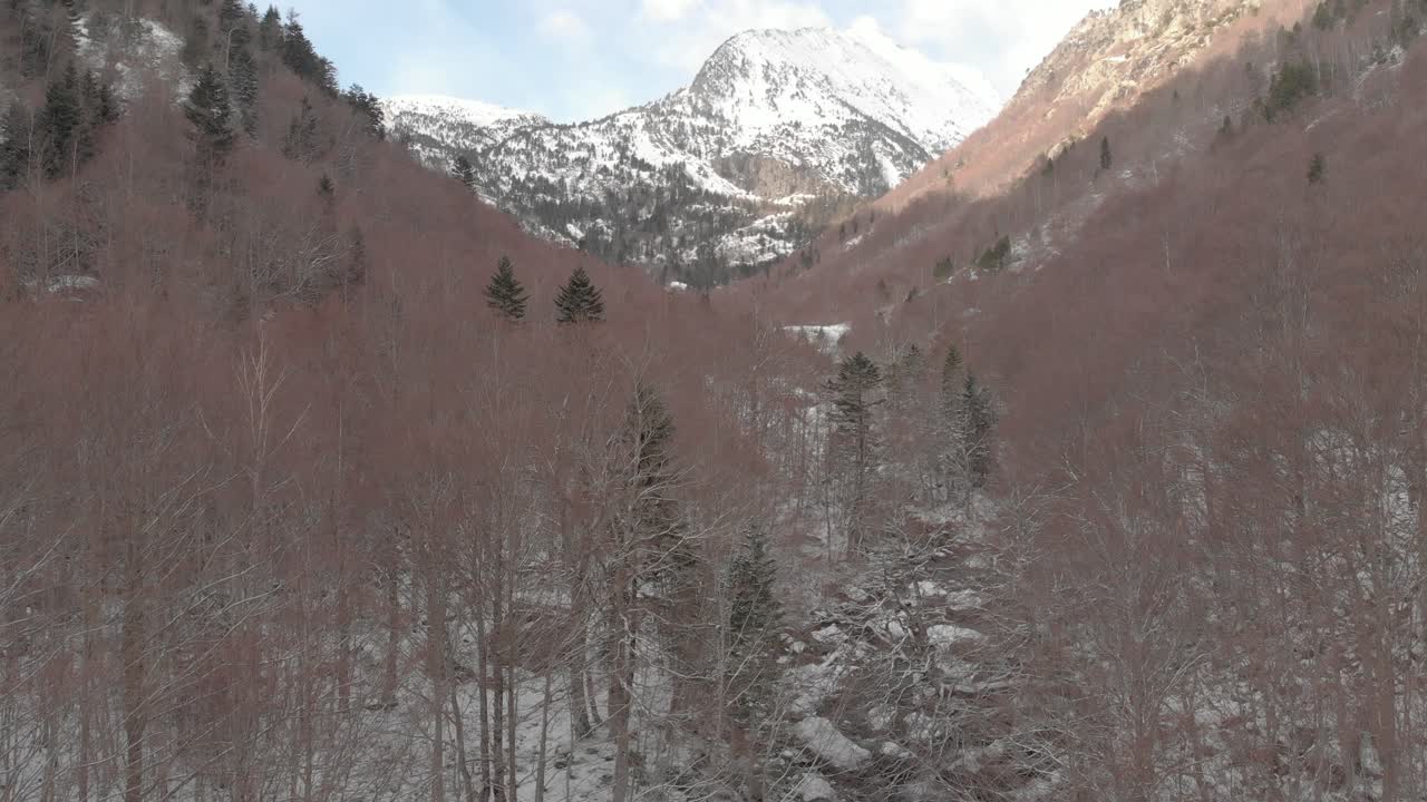 video aéreo de un dron subiendo en un bosque nevado en los pirineos de españa con montañas en la parte de atrás y un pequeño riachuelo entre los árboles, filmado en medio del invierno con cielo azul y algunas nubes