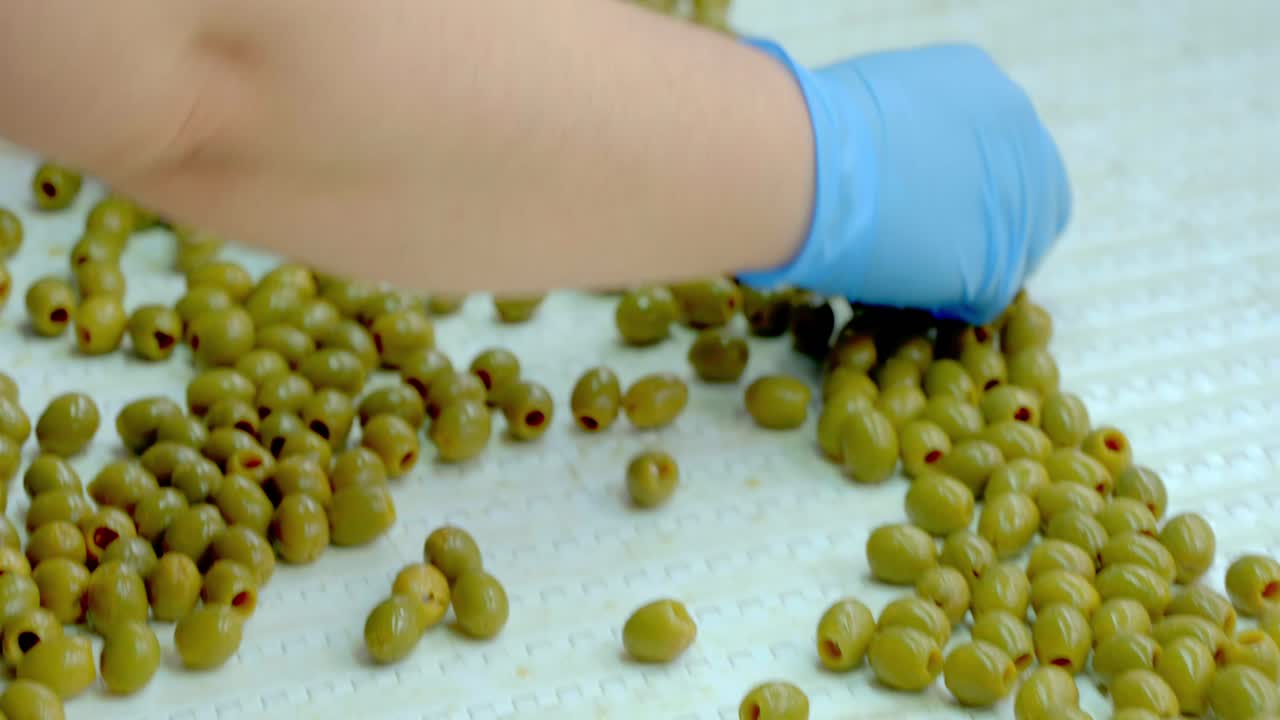 A close shot captures a gloved hand sorting green olives with red pimientos on a white conveyor belt, highlighting the food processing stage in a factory setting.