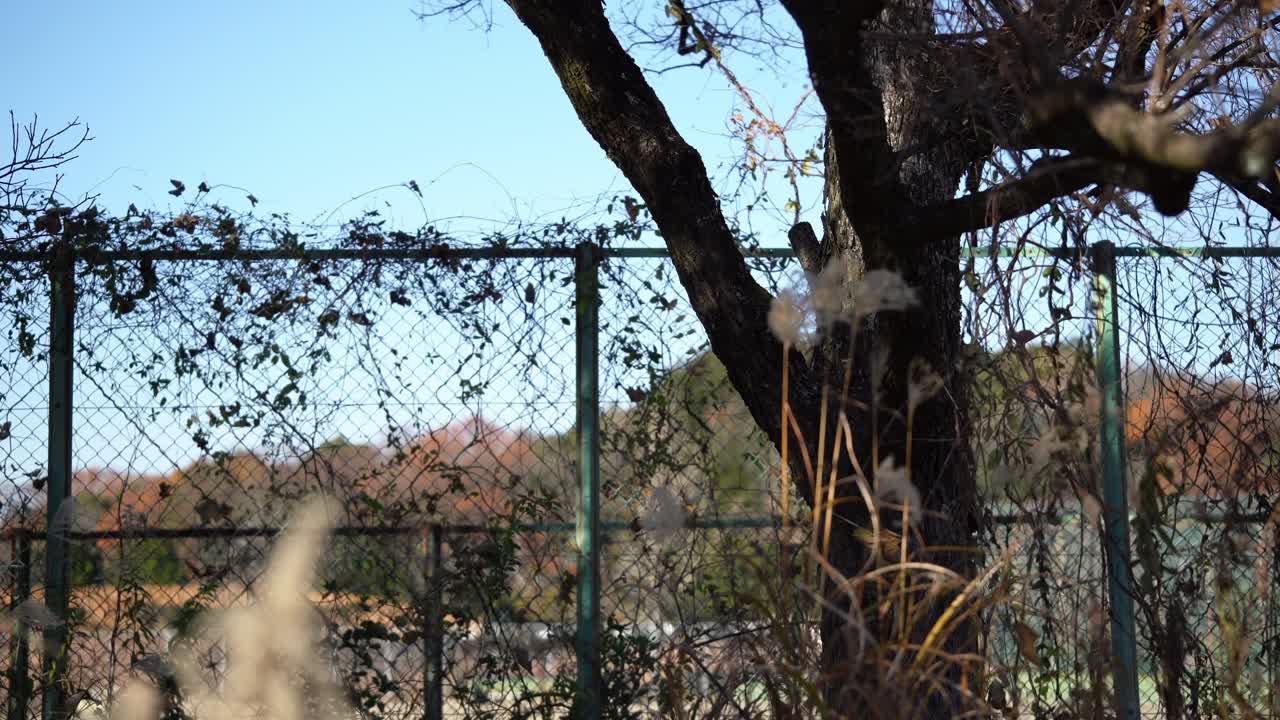 Abandoned Zone Away from Human Civilization