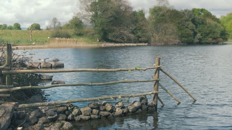 hand built fencing by river shoreline wilderness