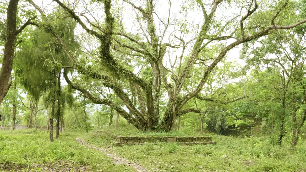 네팔 포카라에 있는 그린 파크
