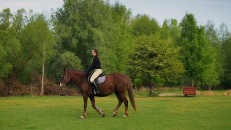 woman horseback riding in a field